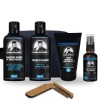 Kit Barba Robusta Shampoo + Cond. + Balm + Óleo + Pente e Necessaire Grátis