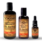 Kit Shampoo + Balm + Óleo Viking Terra